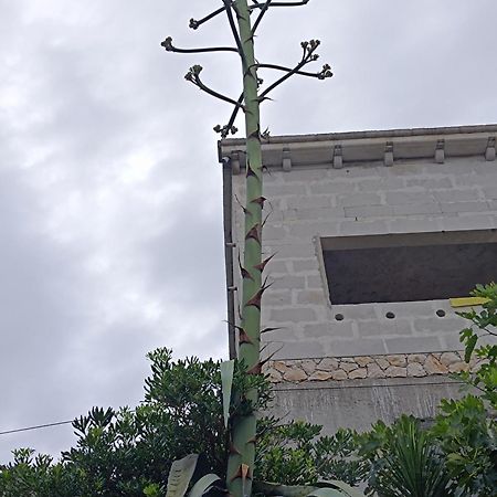 Apartmarin Trogir Dış mekan fotoğraf