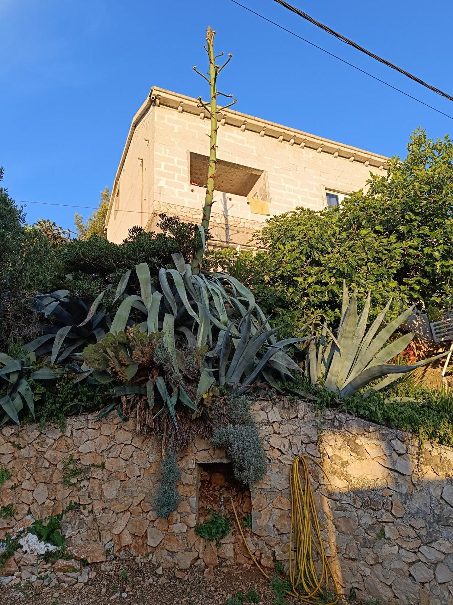 Apartmarin Trogir Dış mekan fotoğraf